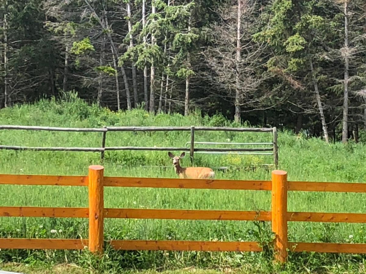 Beaver Guest Ranch Bridge Lake Kültér fotó
